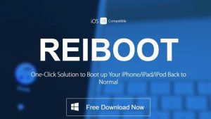 Tenorshare ReiBoot Pro Crack v10.8.9 With License Key 2023